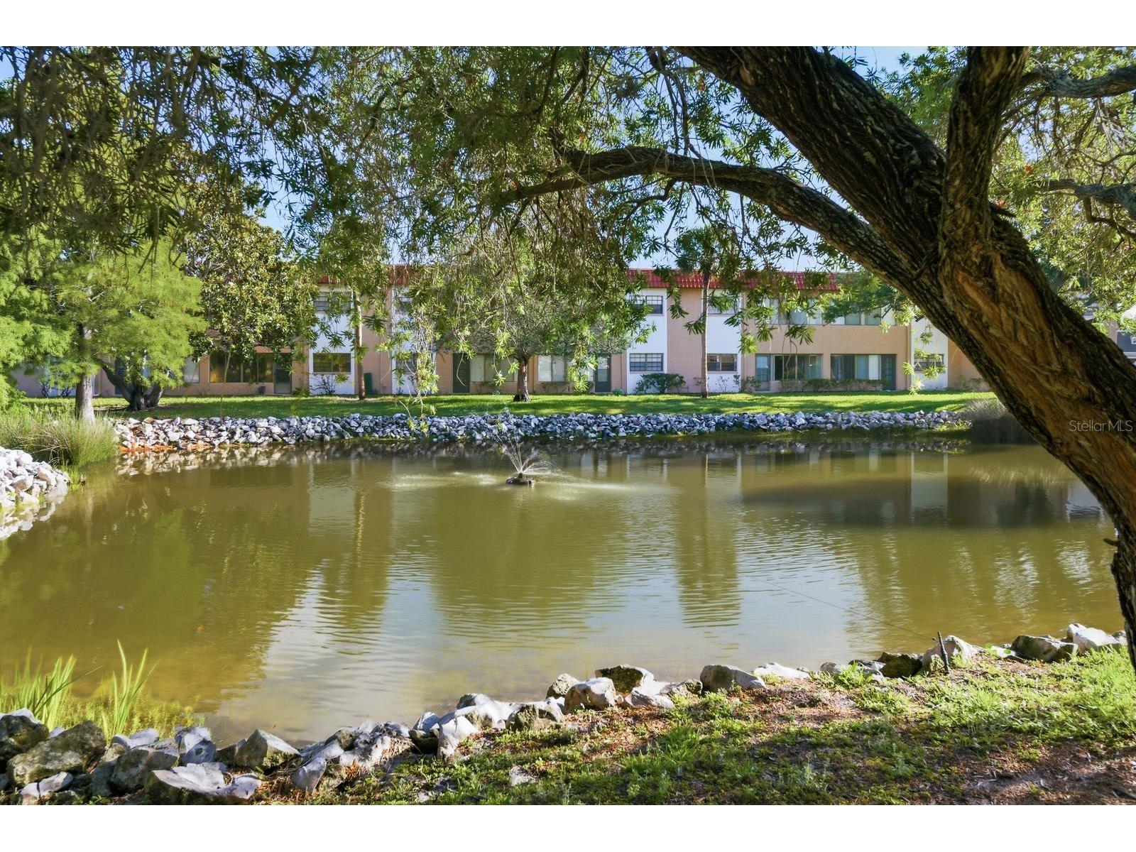 1750 Belleair Forest Drive #C7 Belleair FL 33756 TB8509838 image22