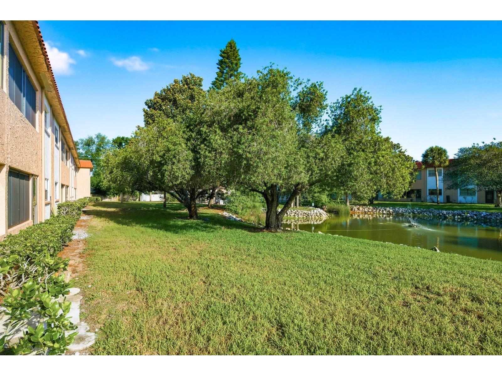 1750 Belleair Forest Drive #C7 Belleair FL 33756 TB8509838 image24