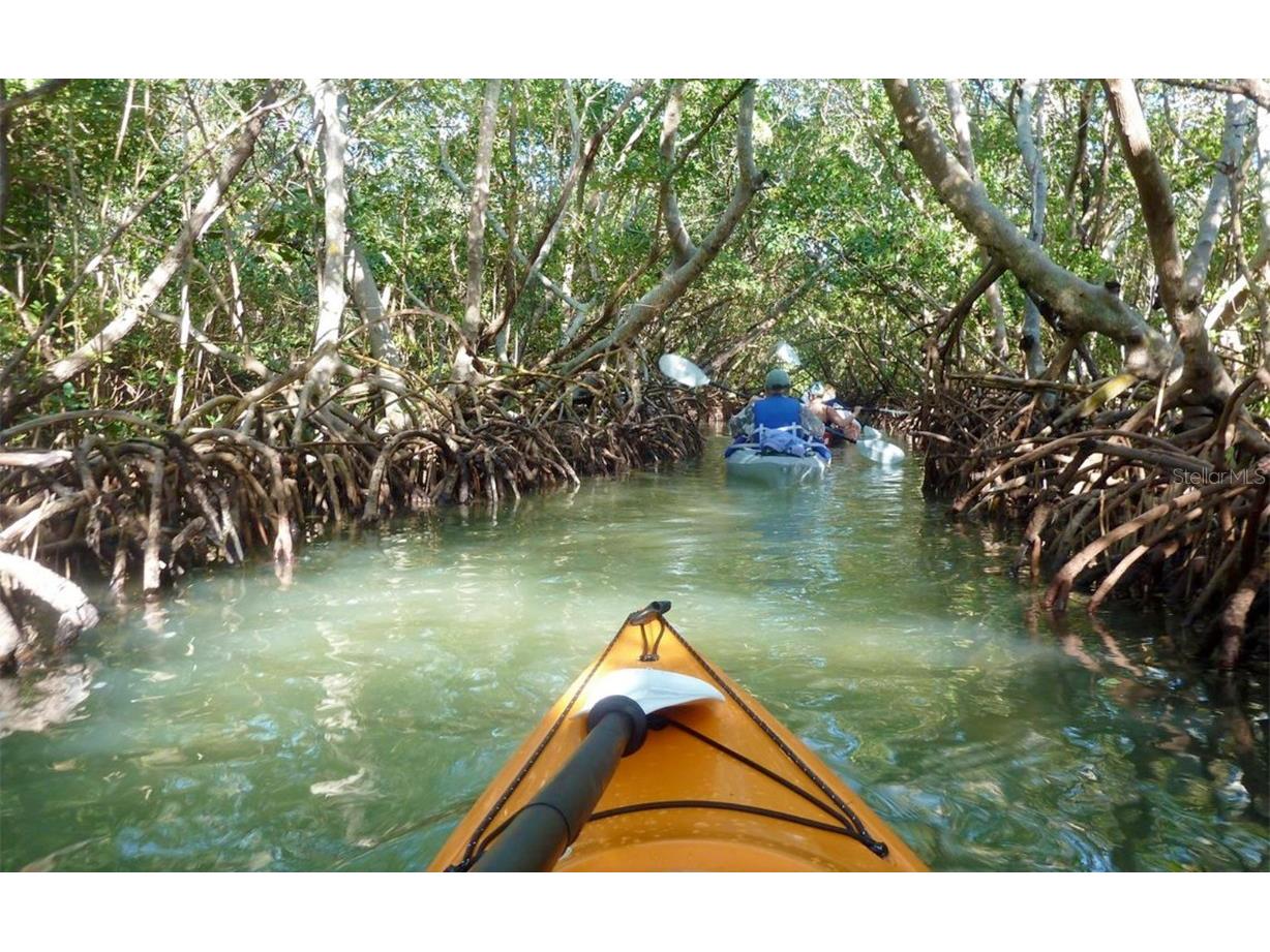 1750 Benjamin Franklin Drive #6F Sarasota FL 34236 - GULF A4650702 image42