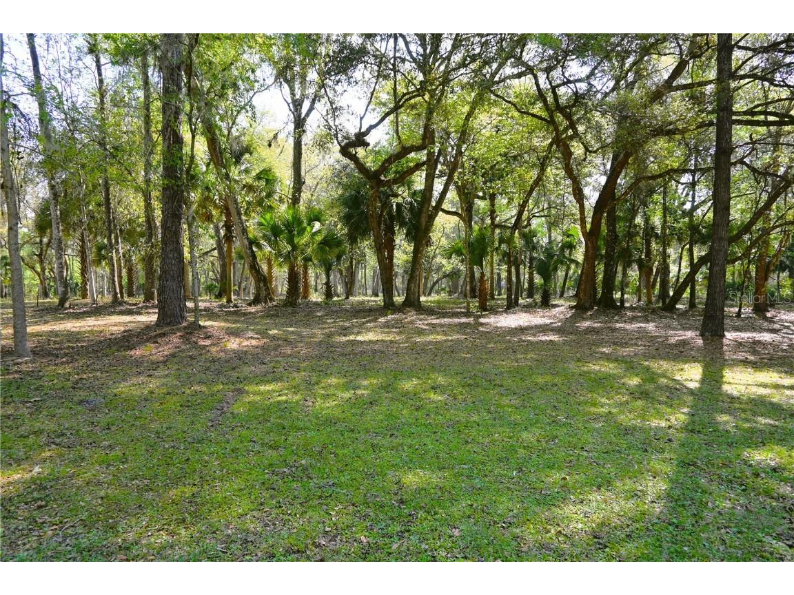 1750 Cr 416n Lake Panasoffkee FL 33538 OM654123 image1