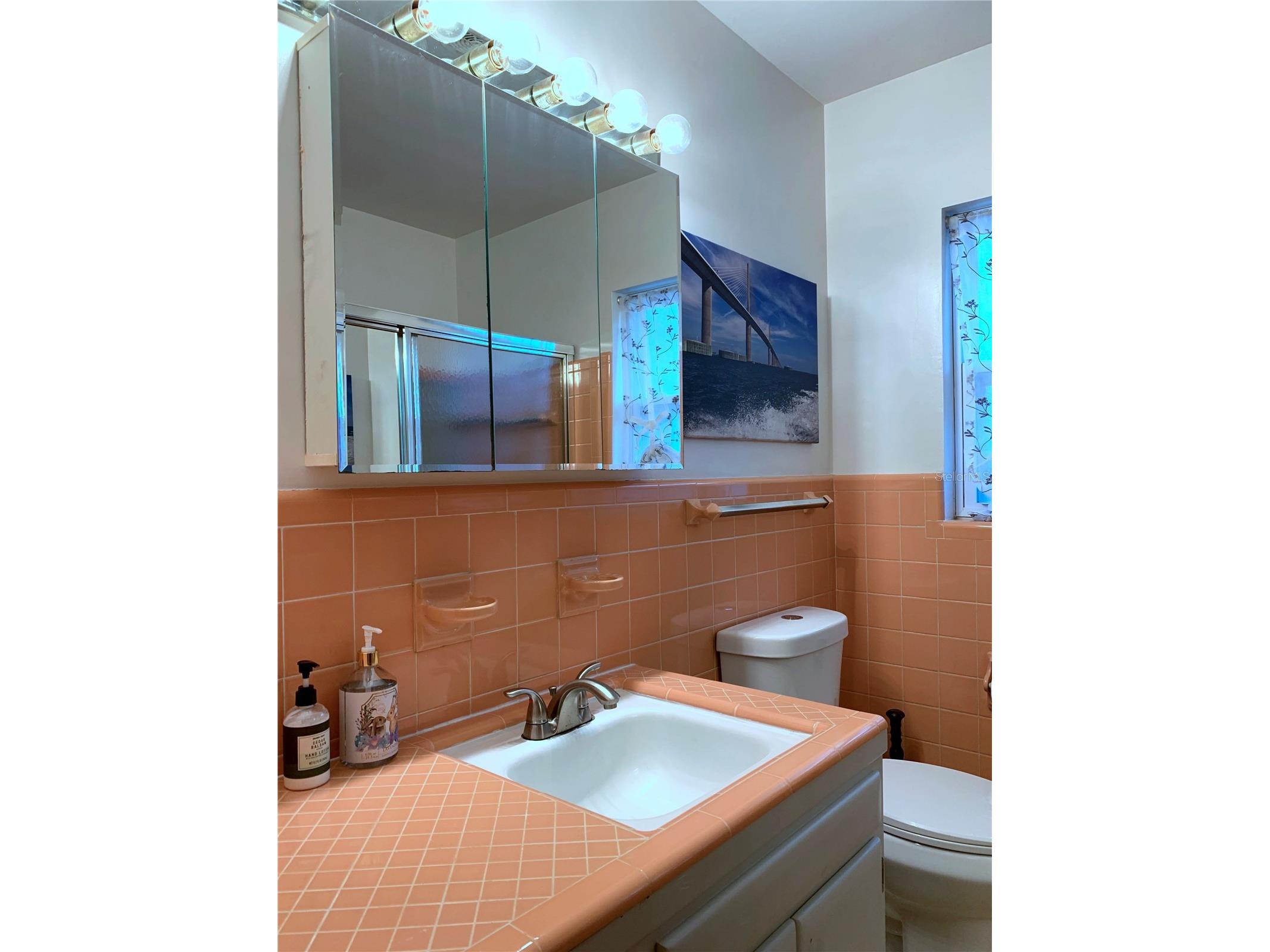 1750 Druid Road E Clearwater FL 33756 TB8520921 image30