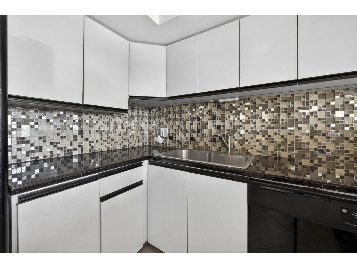 1750 Harbor Place S #303 South Pasadena FL 33707 TB8469338 image12