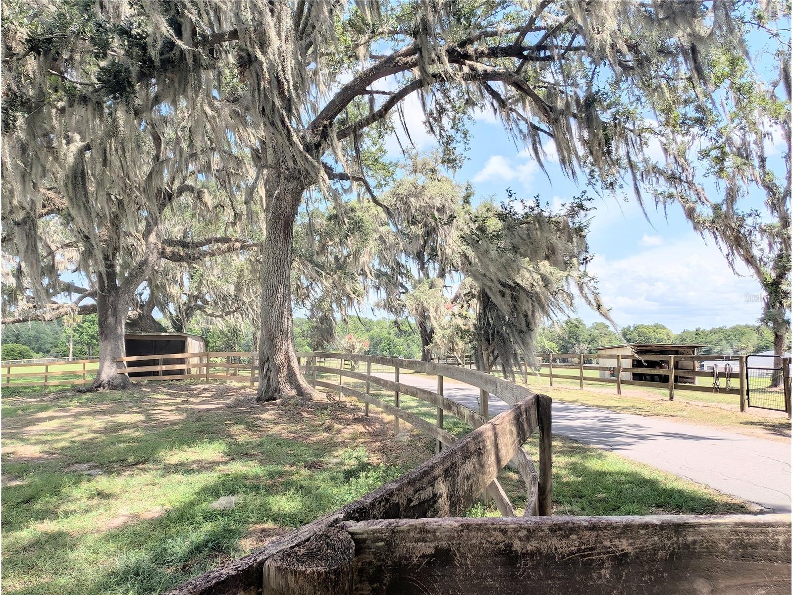 1750 SE 80th Street Ocala FL 34480 OM728003 image52