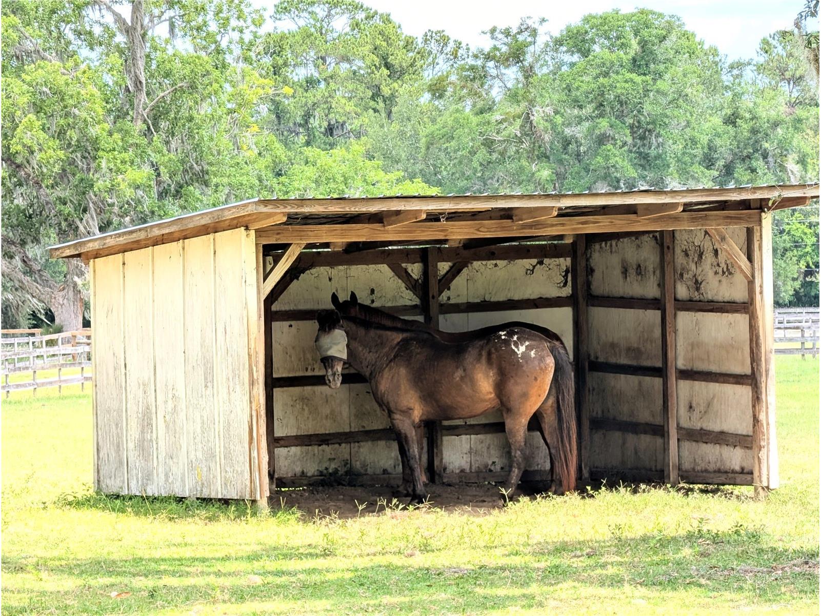 1750 SE 80th Street Ocala FL 34480 OM728003 image54