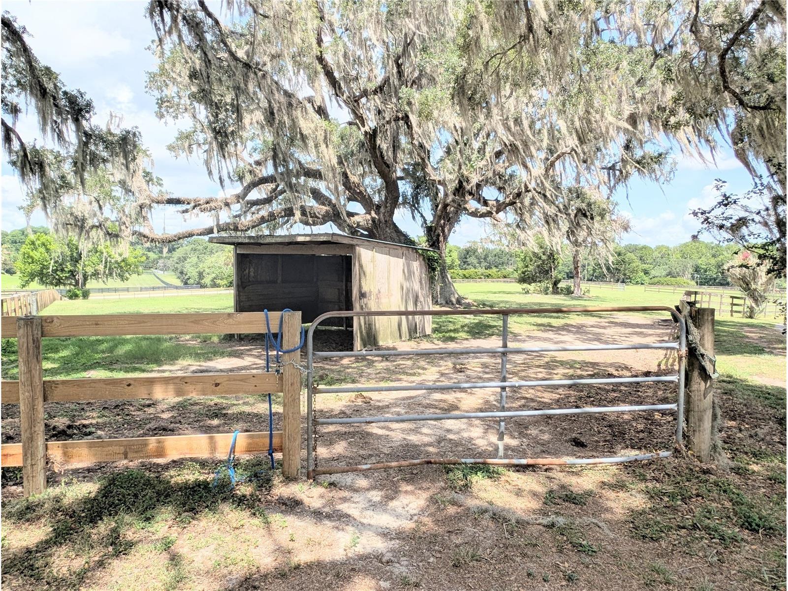 1750 SE 80th Street Ocala FL 34480 OM728003 image56