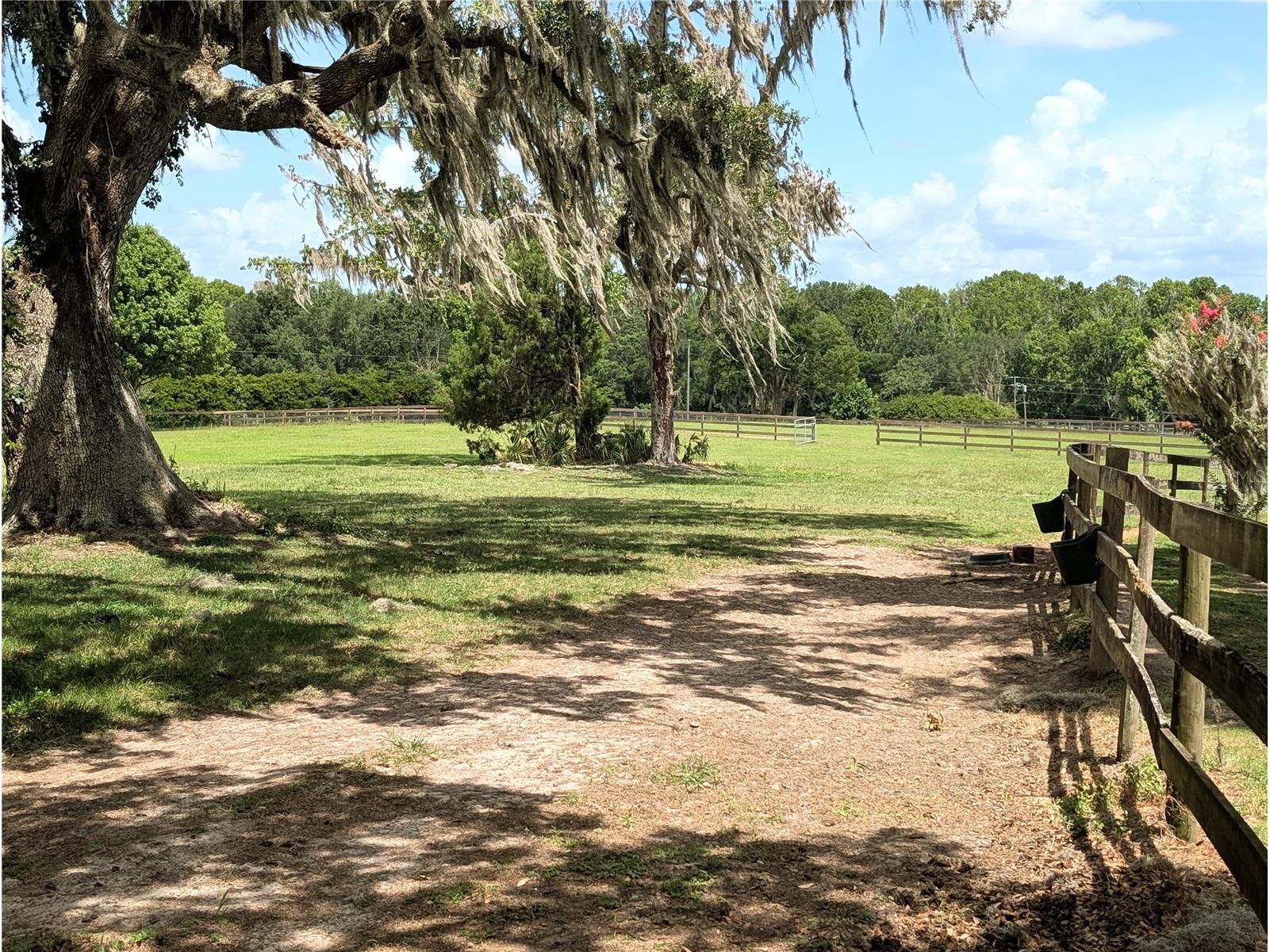 1750 SE 80th Street Ocala FL 34480 OM728003 image57