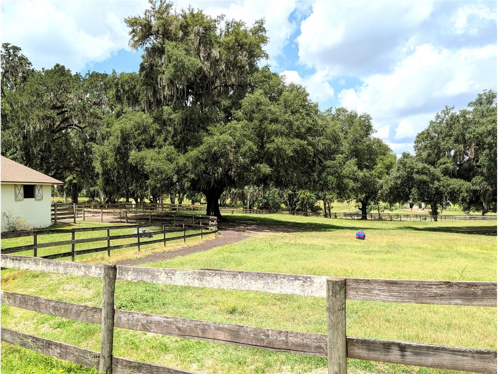 1750 SE 80th Street Ocala FL 34480 OM728003 image59