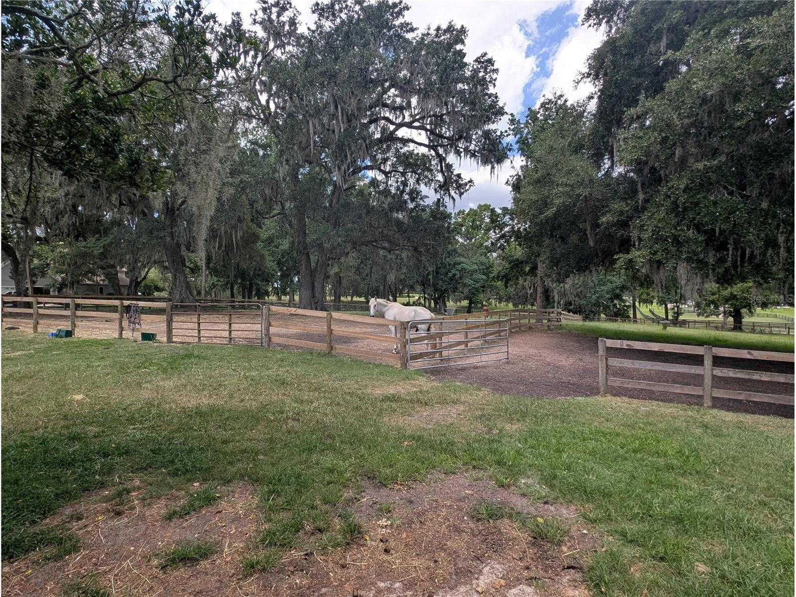 1750 SE 80th Street Ocala FL 34480 OM728003 image60