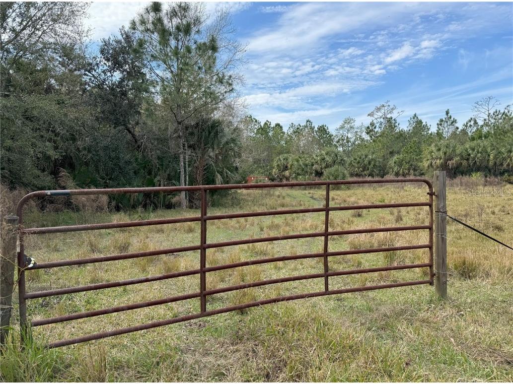 1750 Tomoka Farms Rd Port Orange FL 32128 FC297246 image1