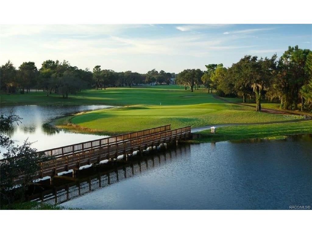 1750 W Westford Path Hernando FL 34442 W7883558 image85