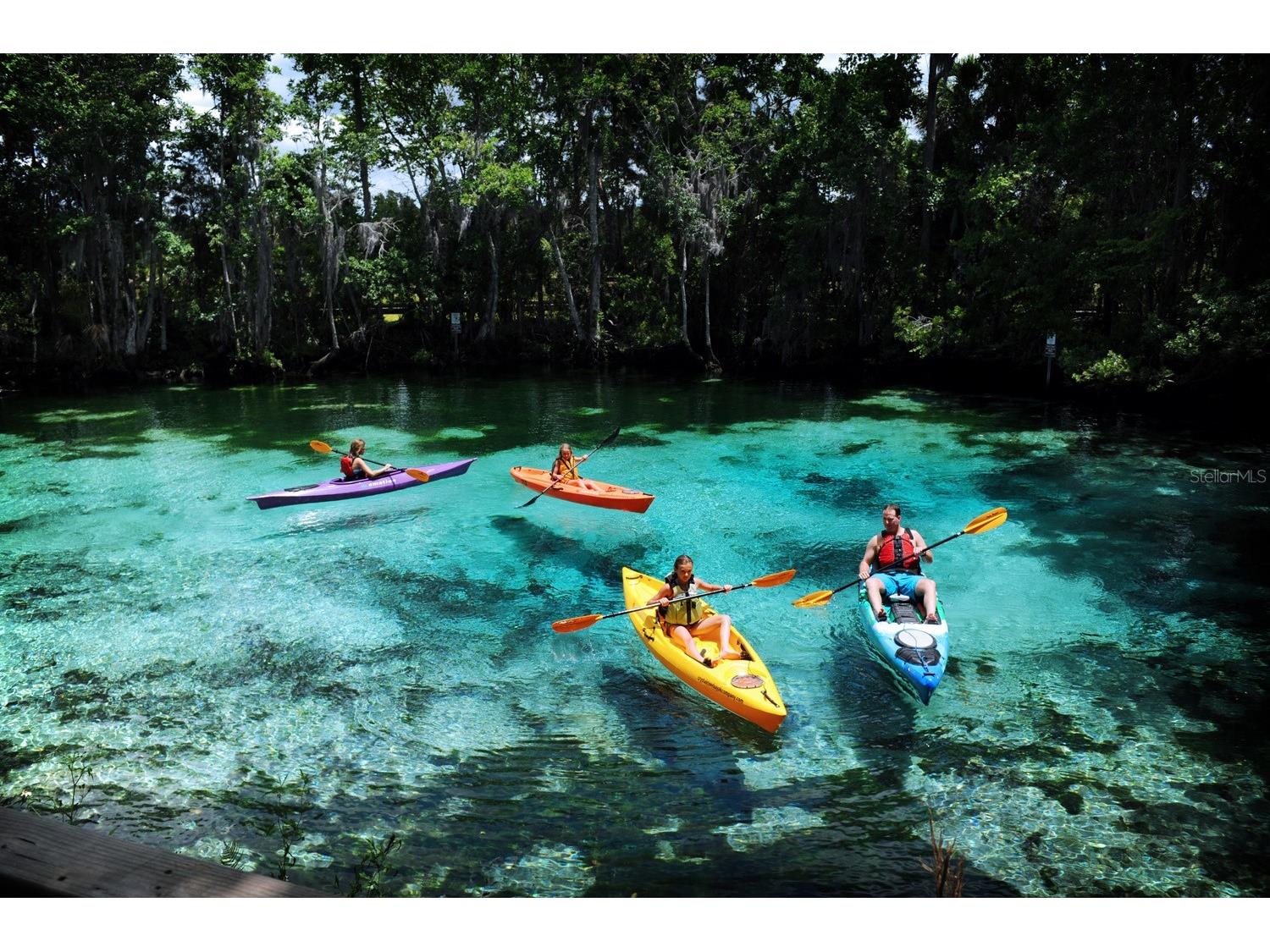 1750 W Westford Path Hernando FL 34442 W7883558 image93