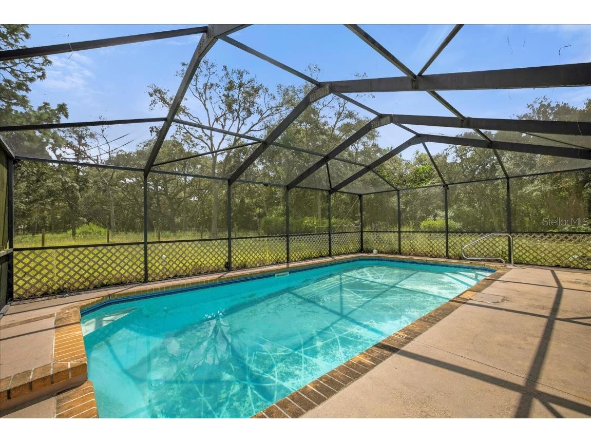 17500 Evelyn Court Spring Hill FL 34610 O6230453 image16