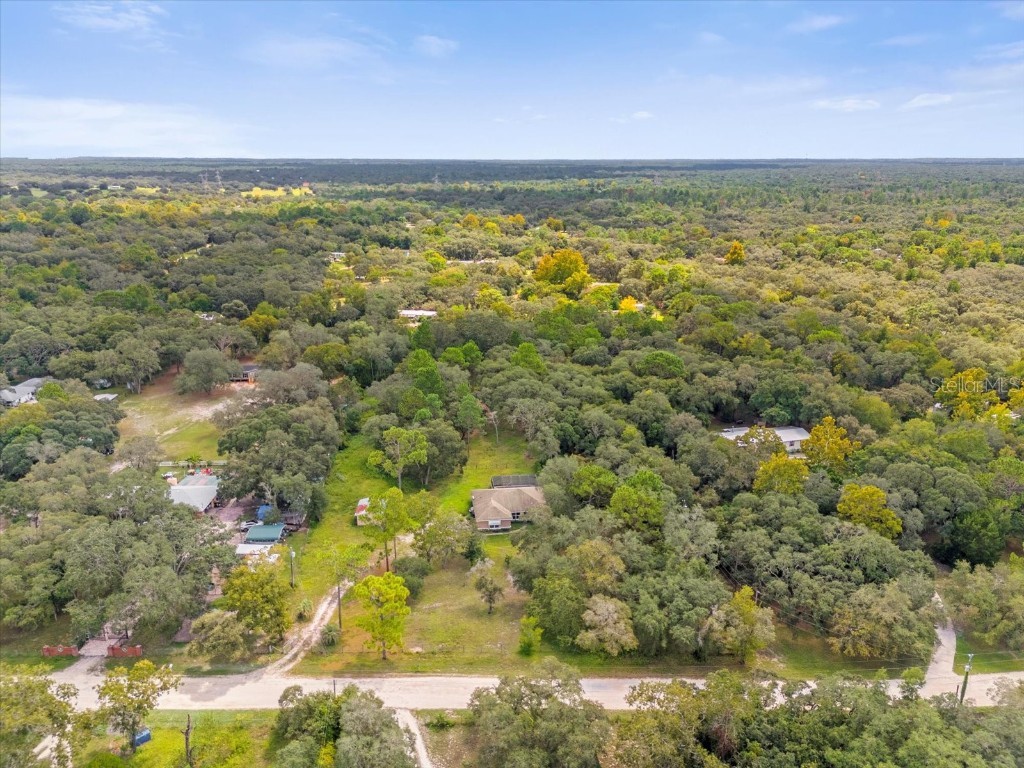 17500 Evelyn Court Spring Hill FL 34610 O6230453 image17