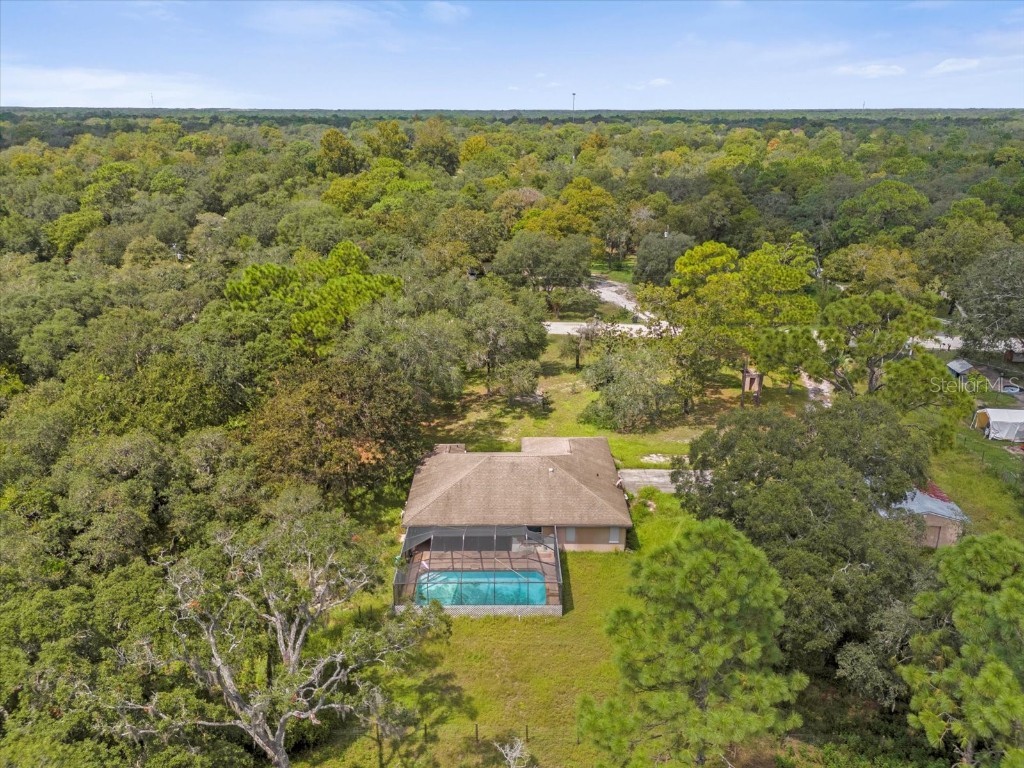 17500 Evelyn Court Spring Hill FL 34610 O6230453 image19