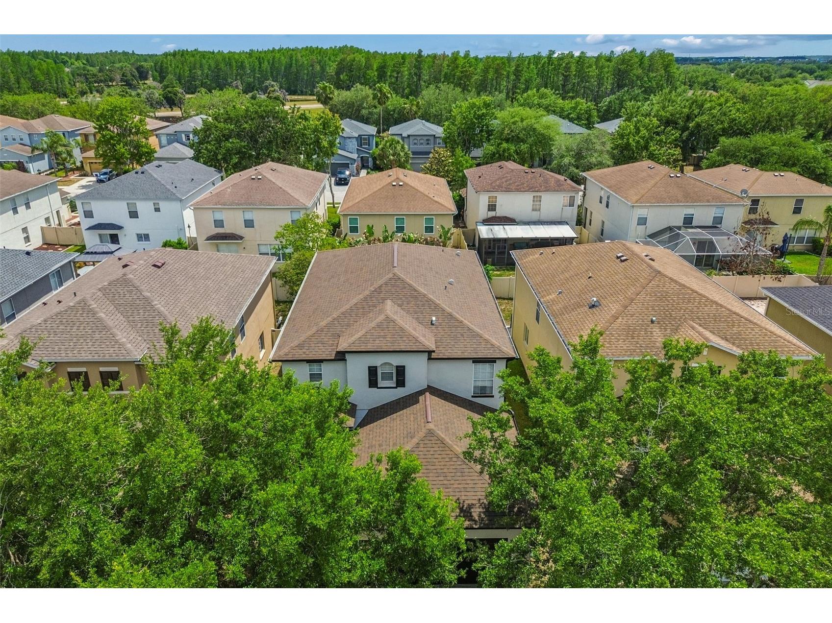 17500 Glenapp Drive Land O Lakes FL 34638 W7885063 image32