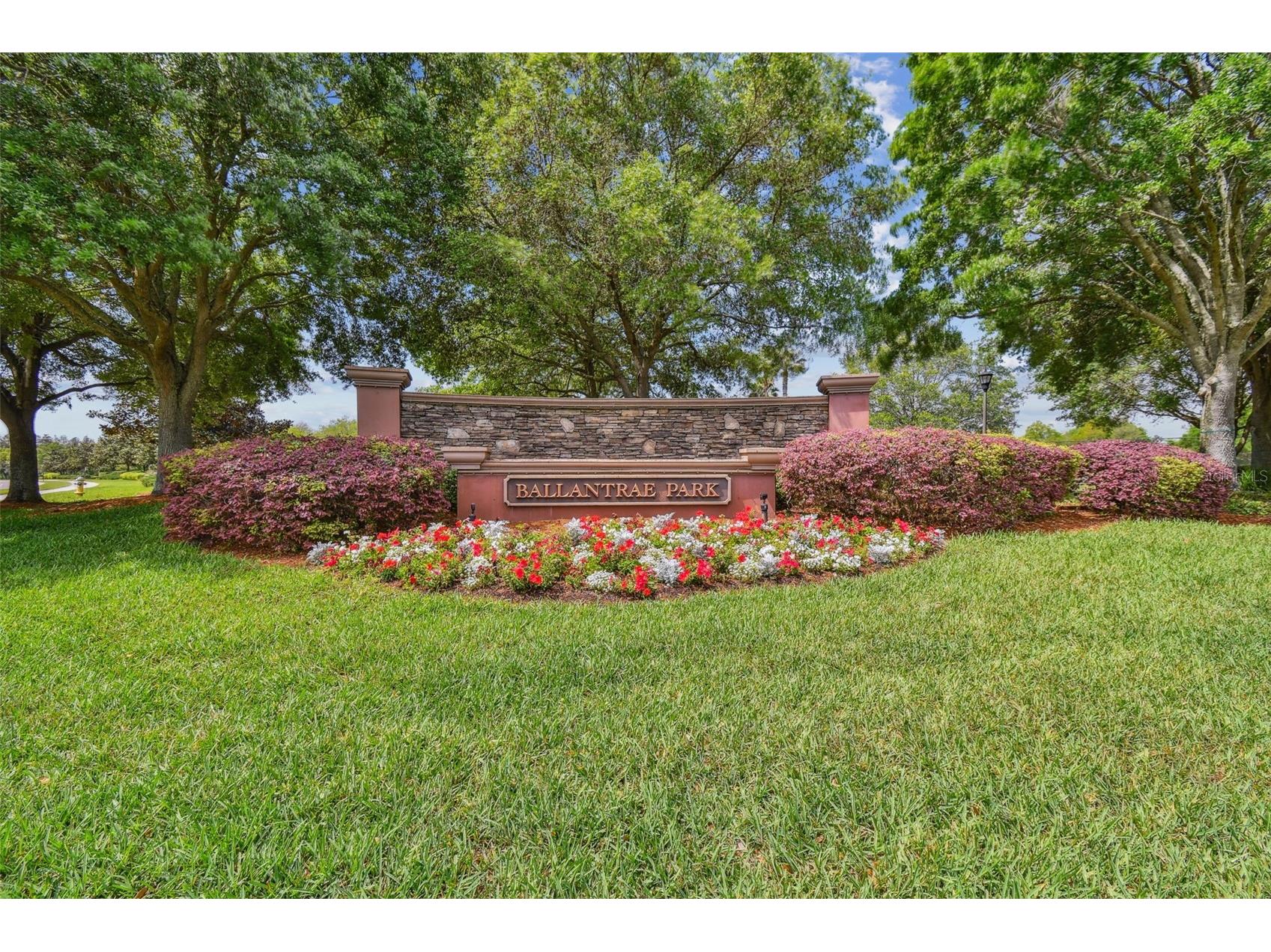 17500 Glenapp Drive Land O Lakes FL 34638 W7885063 image50