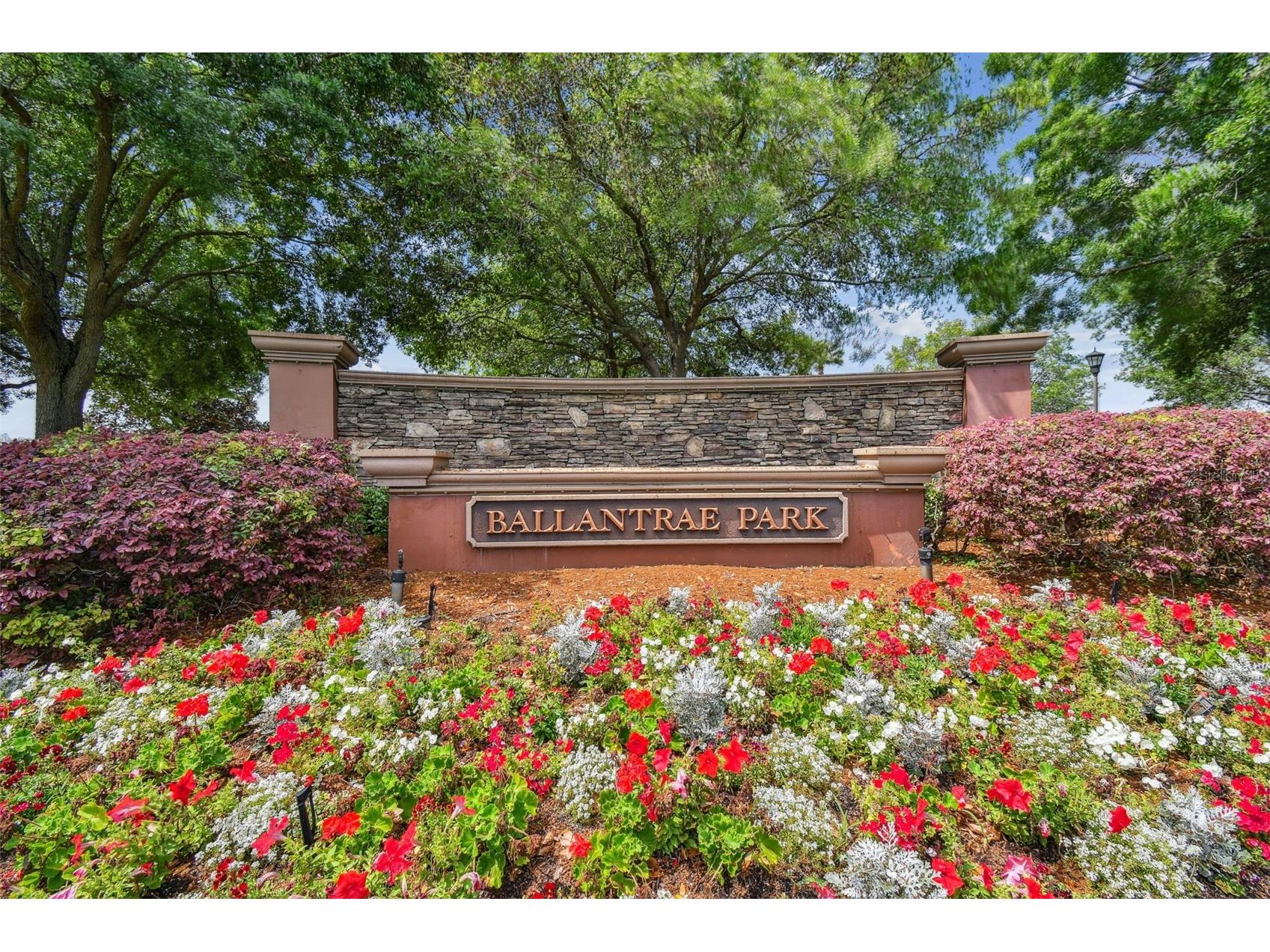 17500 Glenapp Drive Land O Lakes FL 34638 W7885063 image51