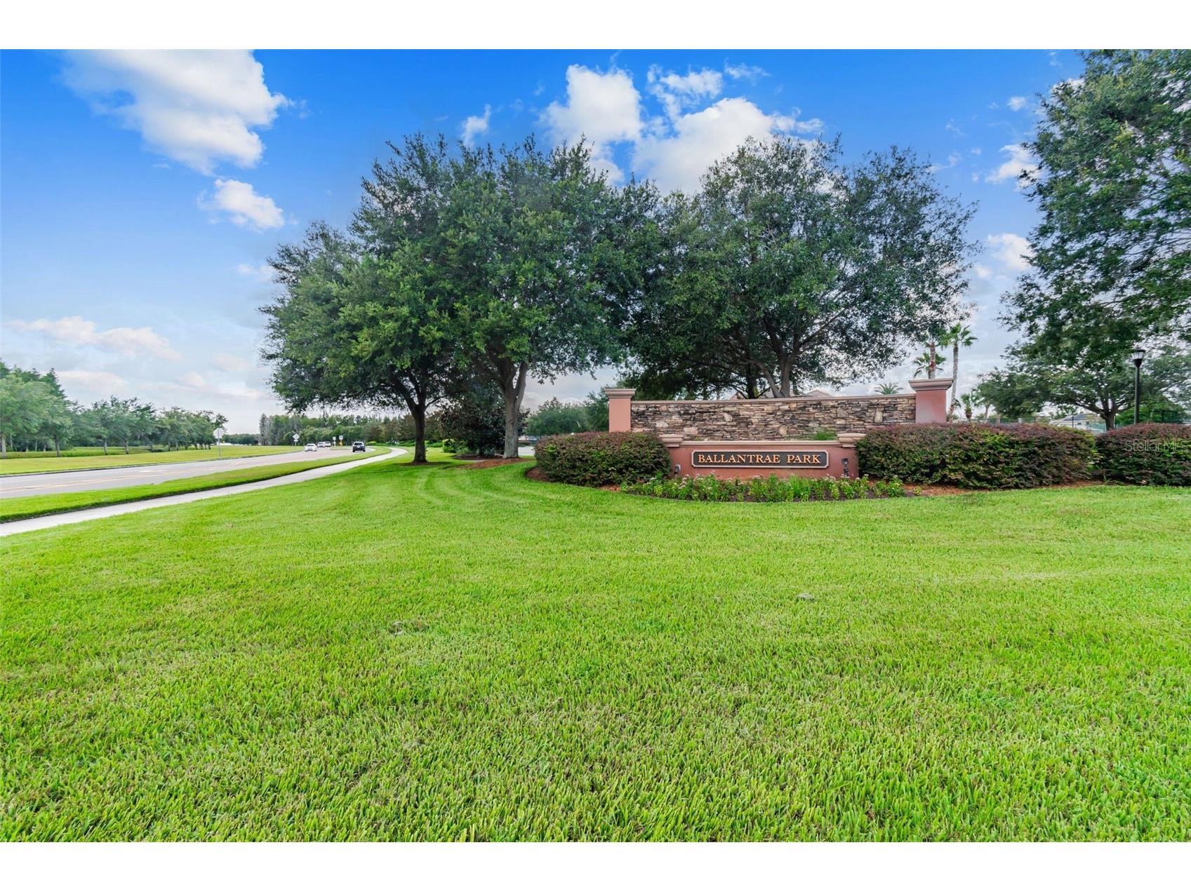 17500 Glenapp Drive Land O Lakes FL 34638 W7885063 image55