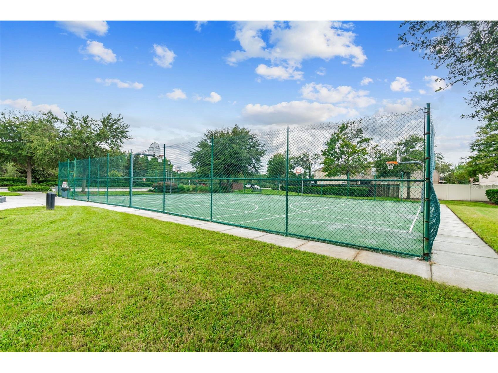 17500 Glenapp Drive Land O Lakes FL 34638 W7885063 image57