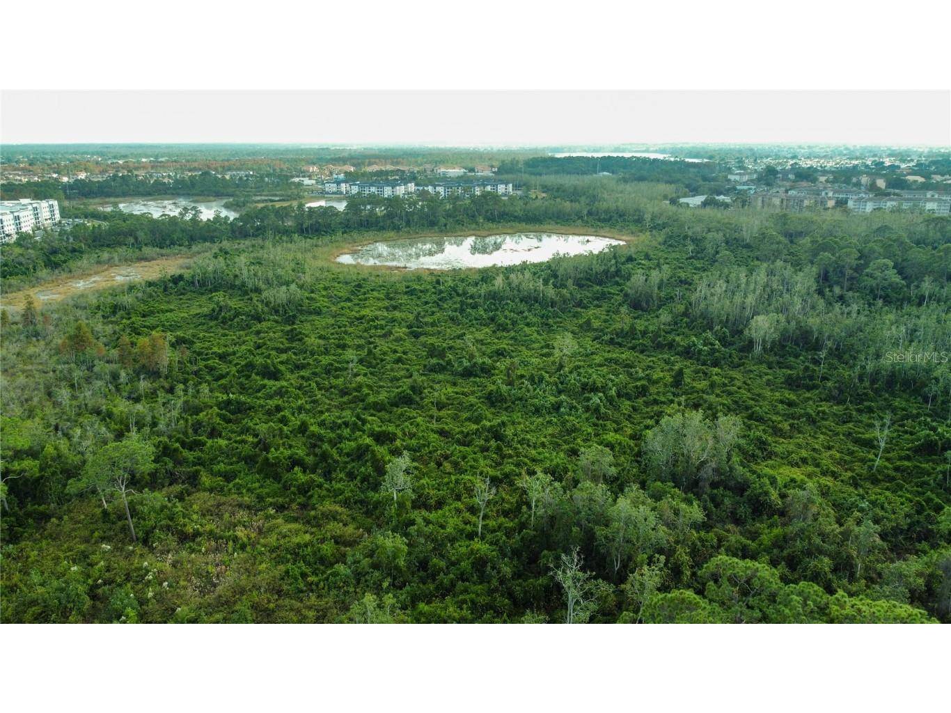 17500 Grove Blossom Way Winter Garden FL 34787 O6365970 image7