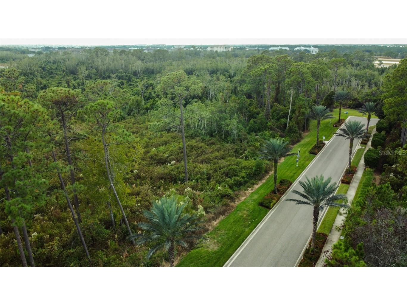 17500 Grove Blossom Way Winter Garden FL 34787 O6365970 image9