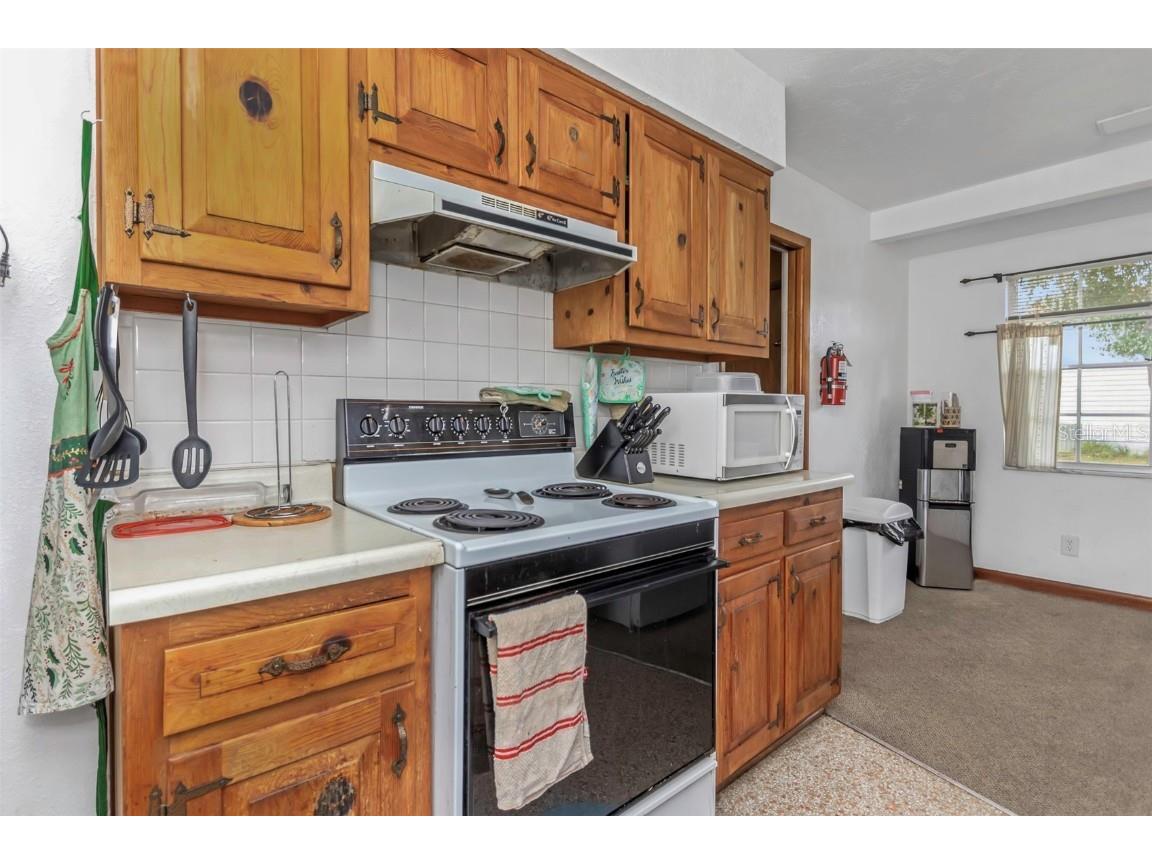 17500 Marsh Road Lutz FL 33558 TB8447688 image25