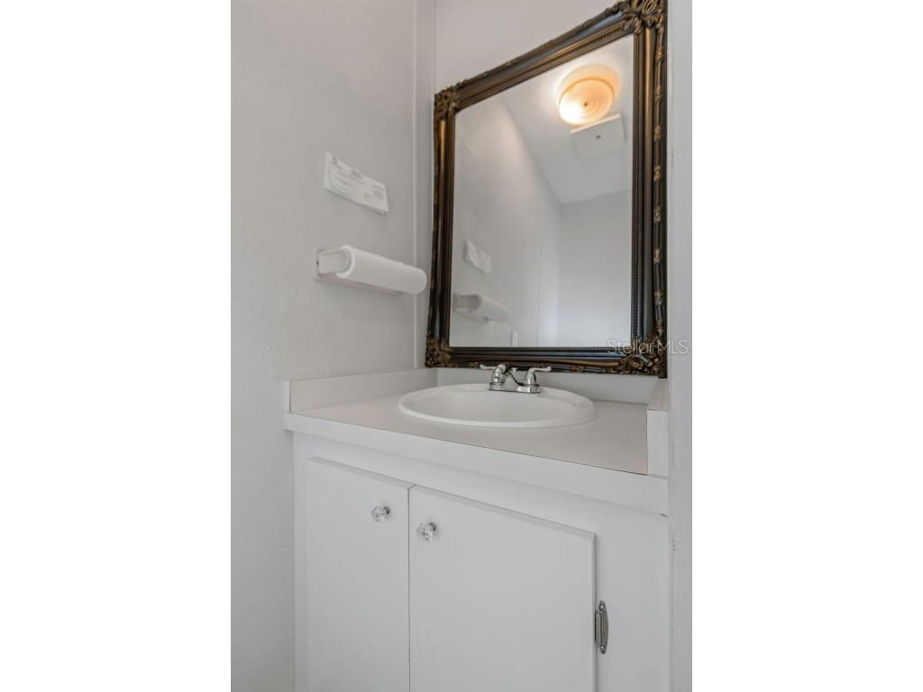 17500 Marsh Road Lutz FL 33558 TB8447688 image45