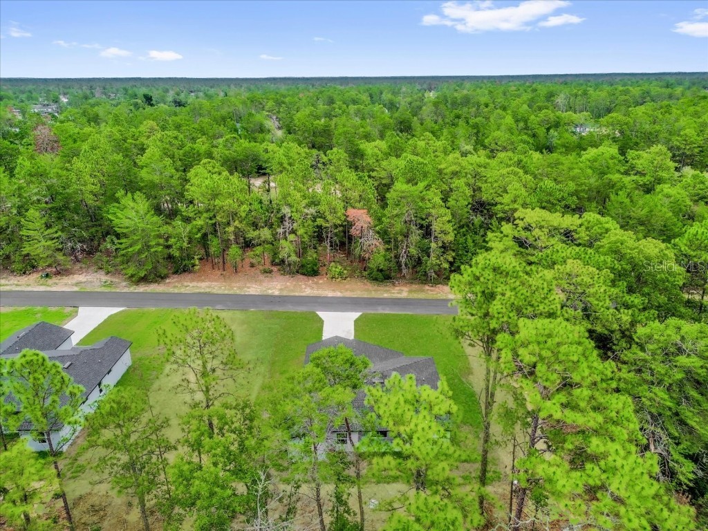 17501 Sw 41st Cir Ocala FL 34473 O6316127 image48