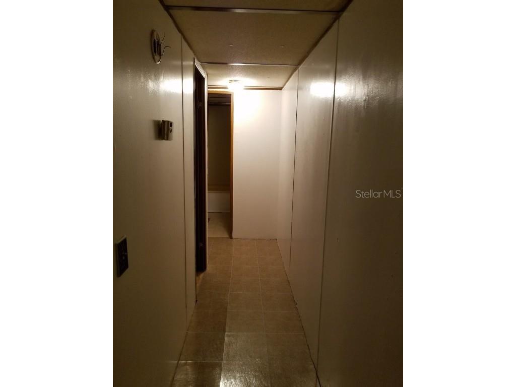 17502 Eve Drive Montverde FL 34756 O6223594 image8