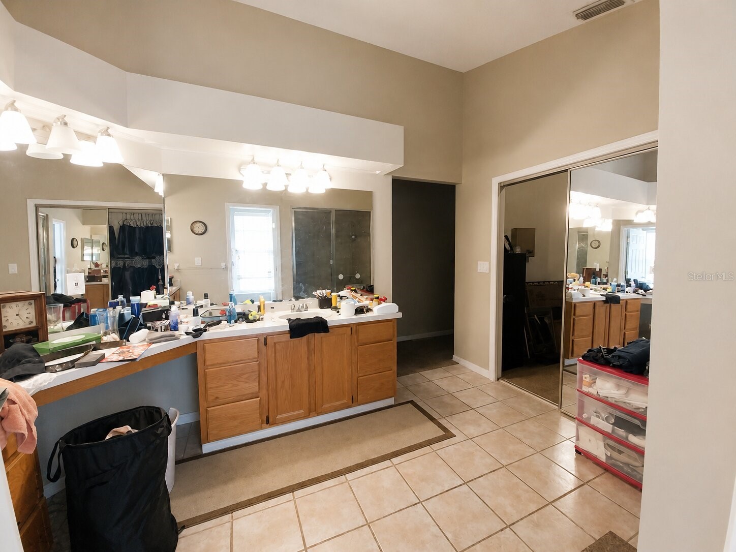 17502 Woodthrush Place Tampa FL 33647 A4699525 image11