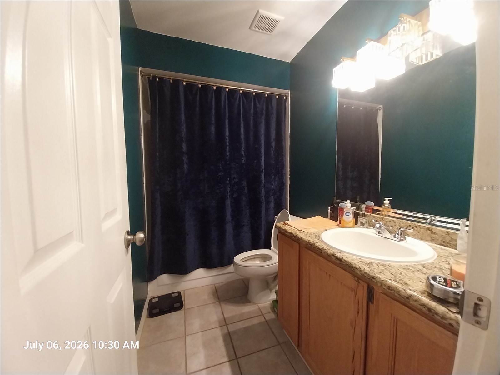 17502 Woodthrush Place Tampa FL 33647 A4699525 image16