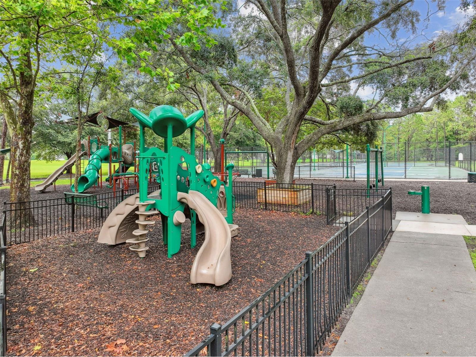 17503 Edinburgh Drive Tampa FL 33647 TB8473924 image62