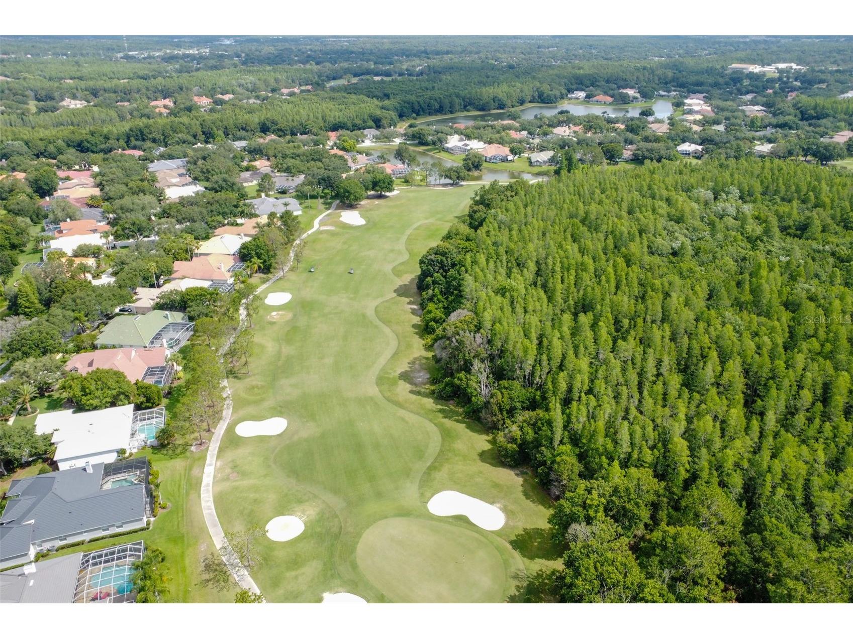 17503 Edinburgh Drive Tampa FL 33647 TB8473924 image75