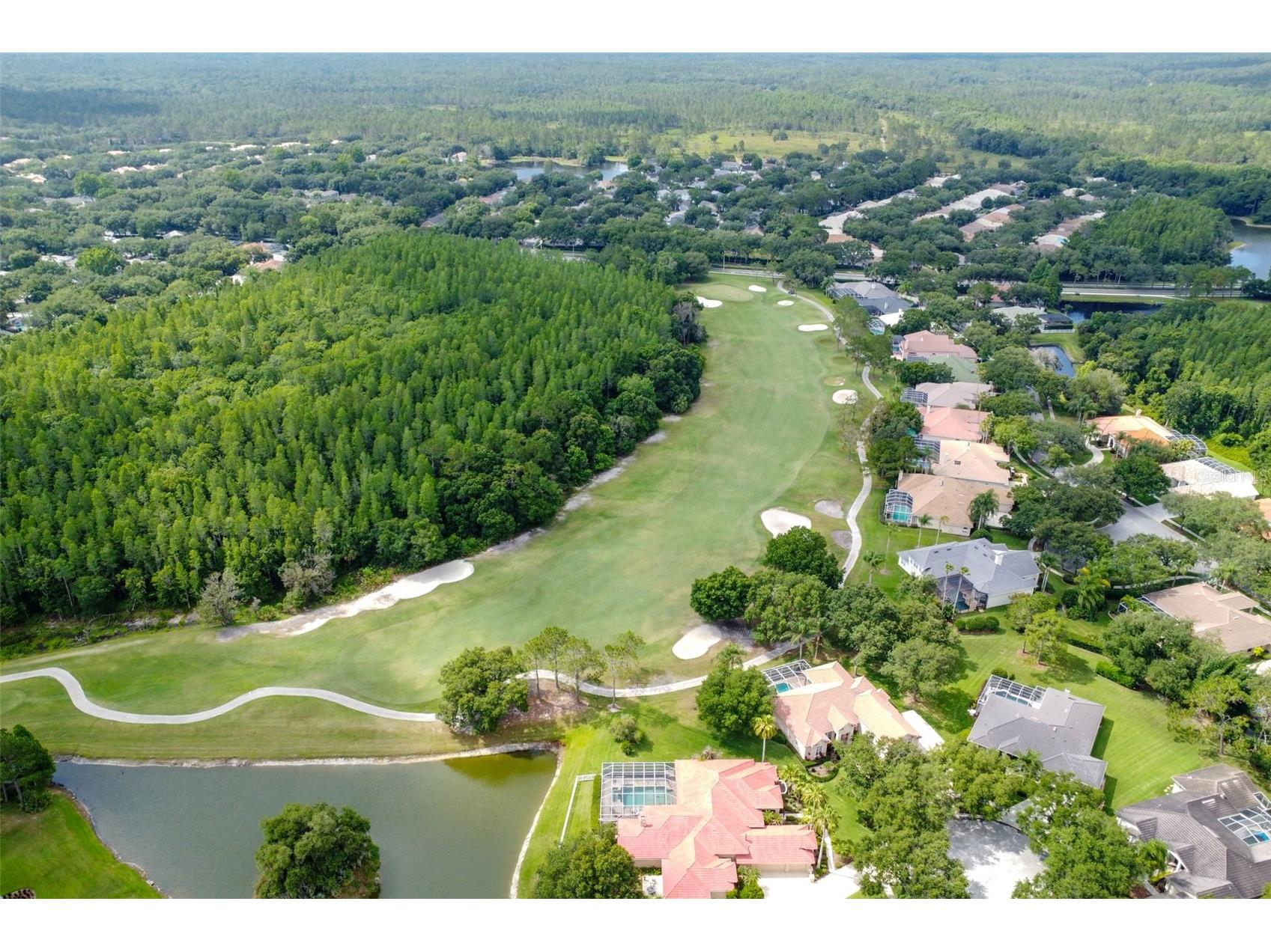 17503 Edinburgh Drive Tampa FL 33647 TB8473924 image76