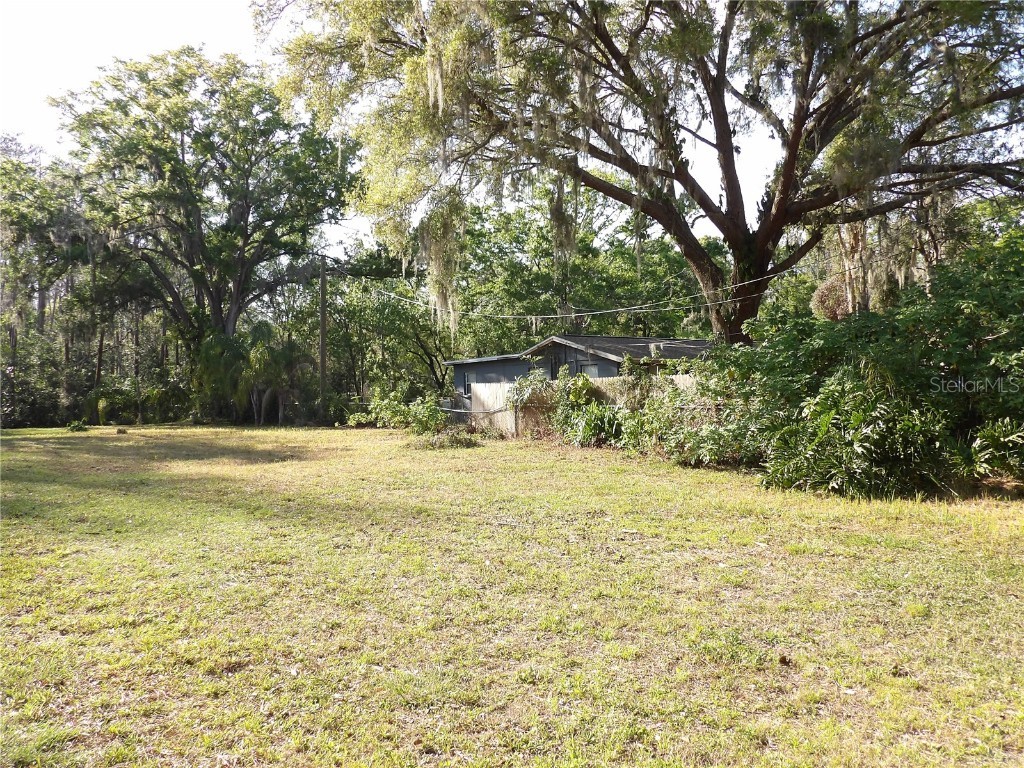 17506 Darby Ln Lutz FL 33558 TB8362245 image1