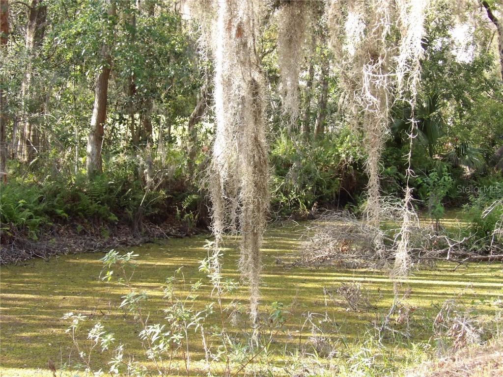 17506 Darby Ln Lutz FL 33558 TB8362245 image10