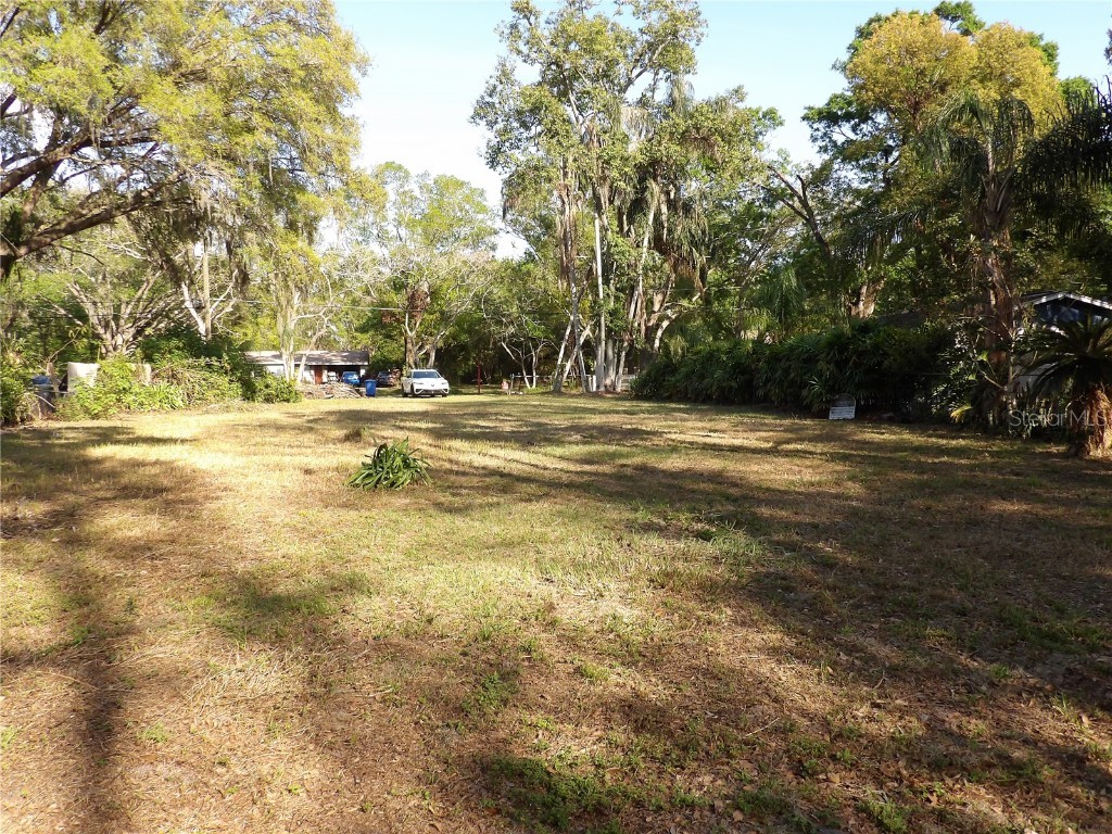 17506 Darby Ln Lutz FL 33558 TB8362245 image14