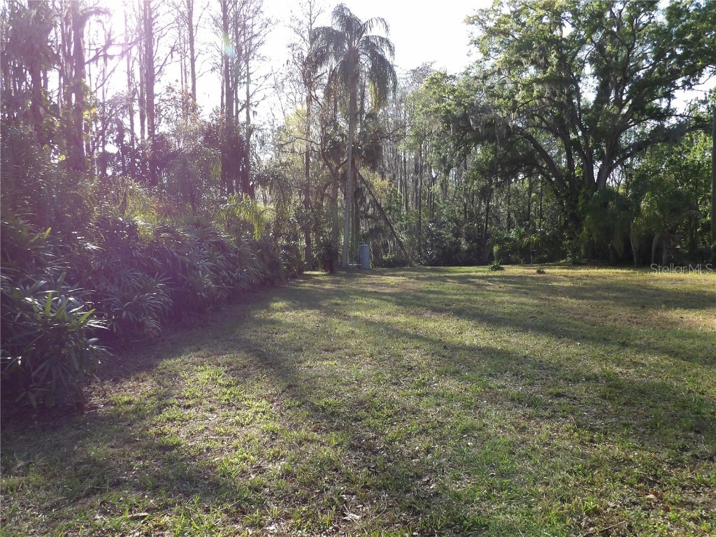 17506 Darby Ln Lutz FL 33558 TB8362245 image4