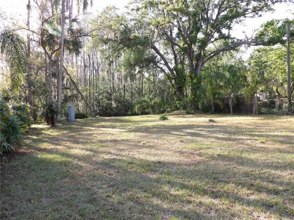 17506 Darby Ln Lutz FL 33558 TB8362245 image5