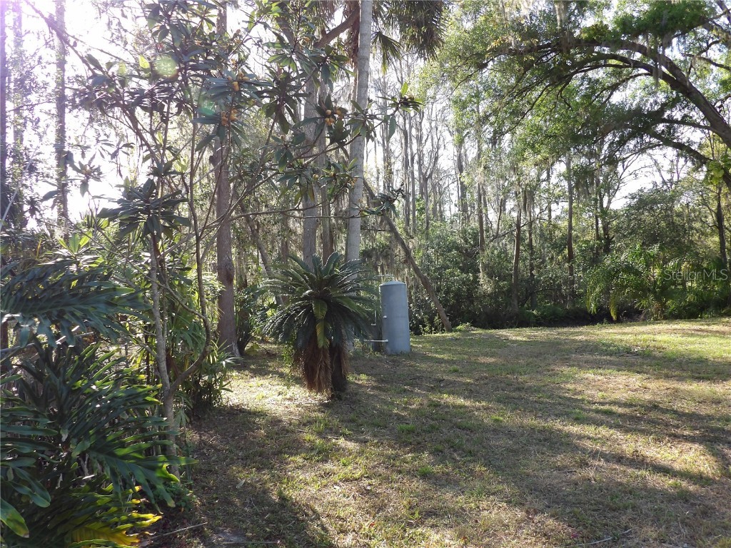 17506 Darby Ln Lutz FL 33558 TB8362245 image7