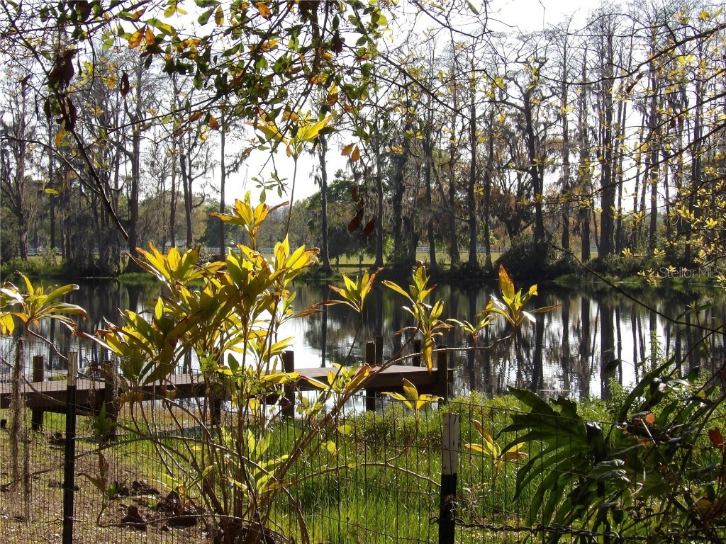 17506 Darby Ln Lutz FL 33558 TB8362245 image9