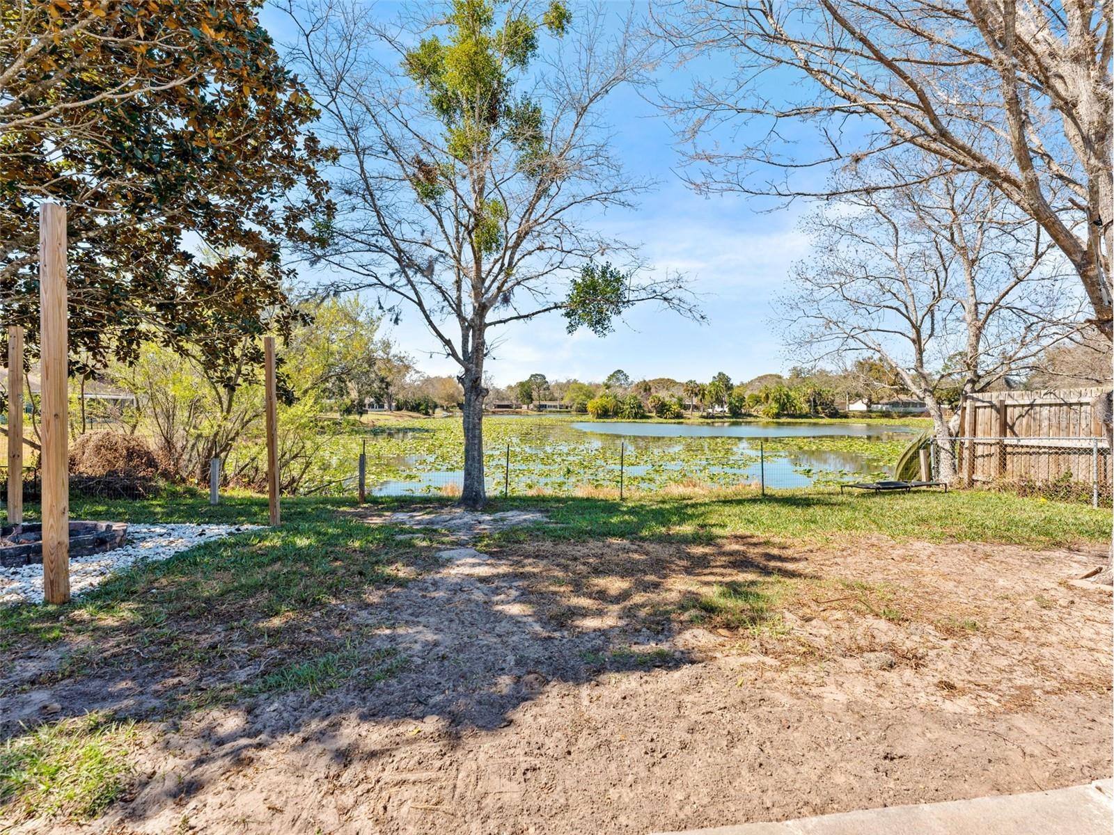 17506 Fallowfield Drive Lutz FL 33549 - BLIND POND TB8480411 image33