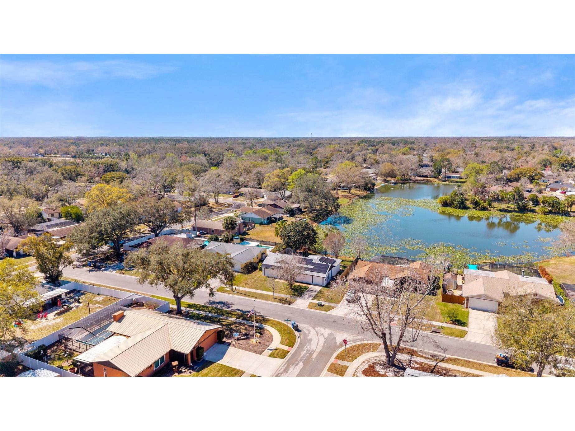 17506 Fallowfield Drive Lutz FL 33549 - BLIND POND TB8480411 image37