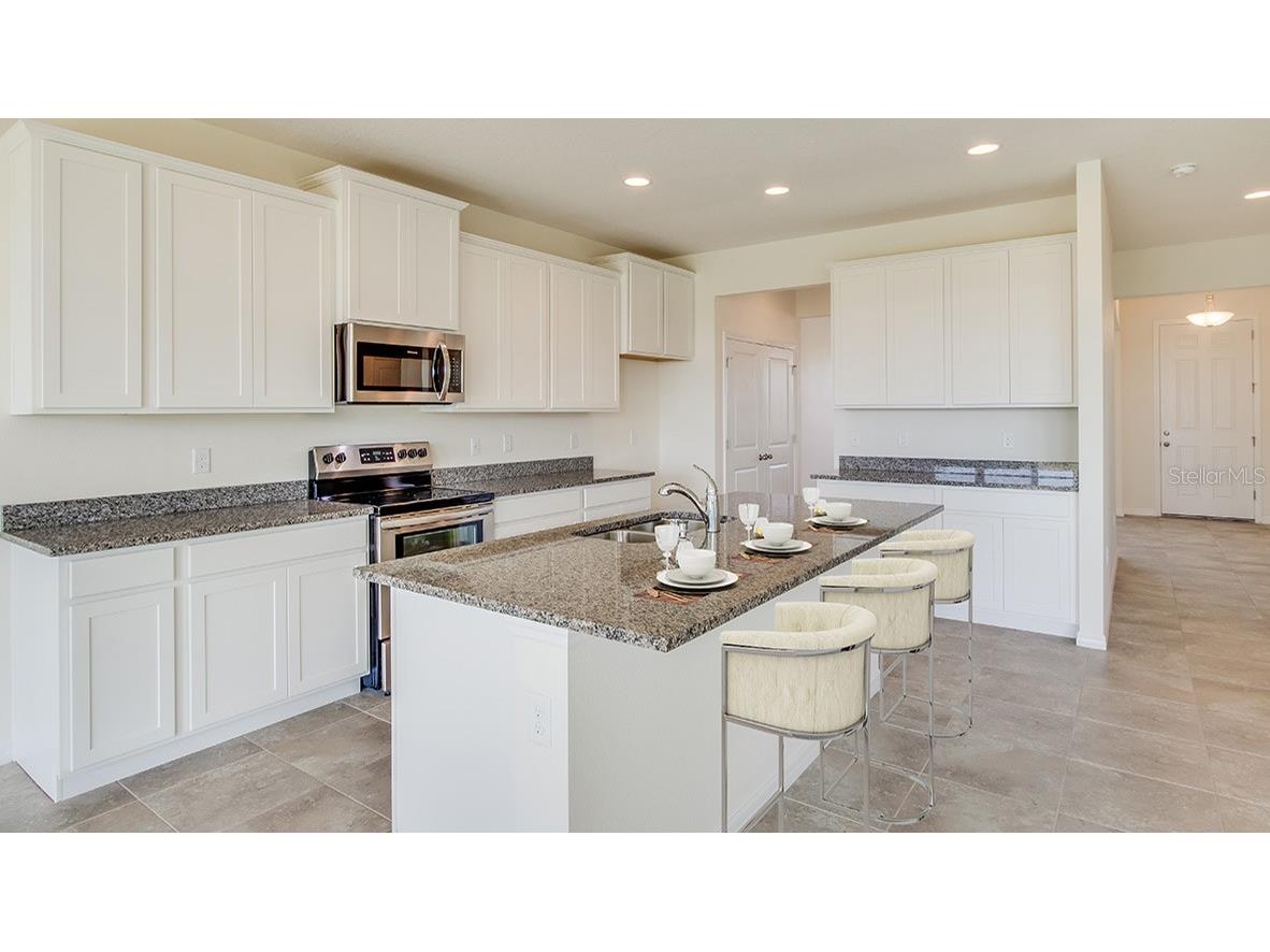 17506 Maple Grove Road Land O Lakes FL 34638 TB8473690 image3