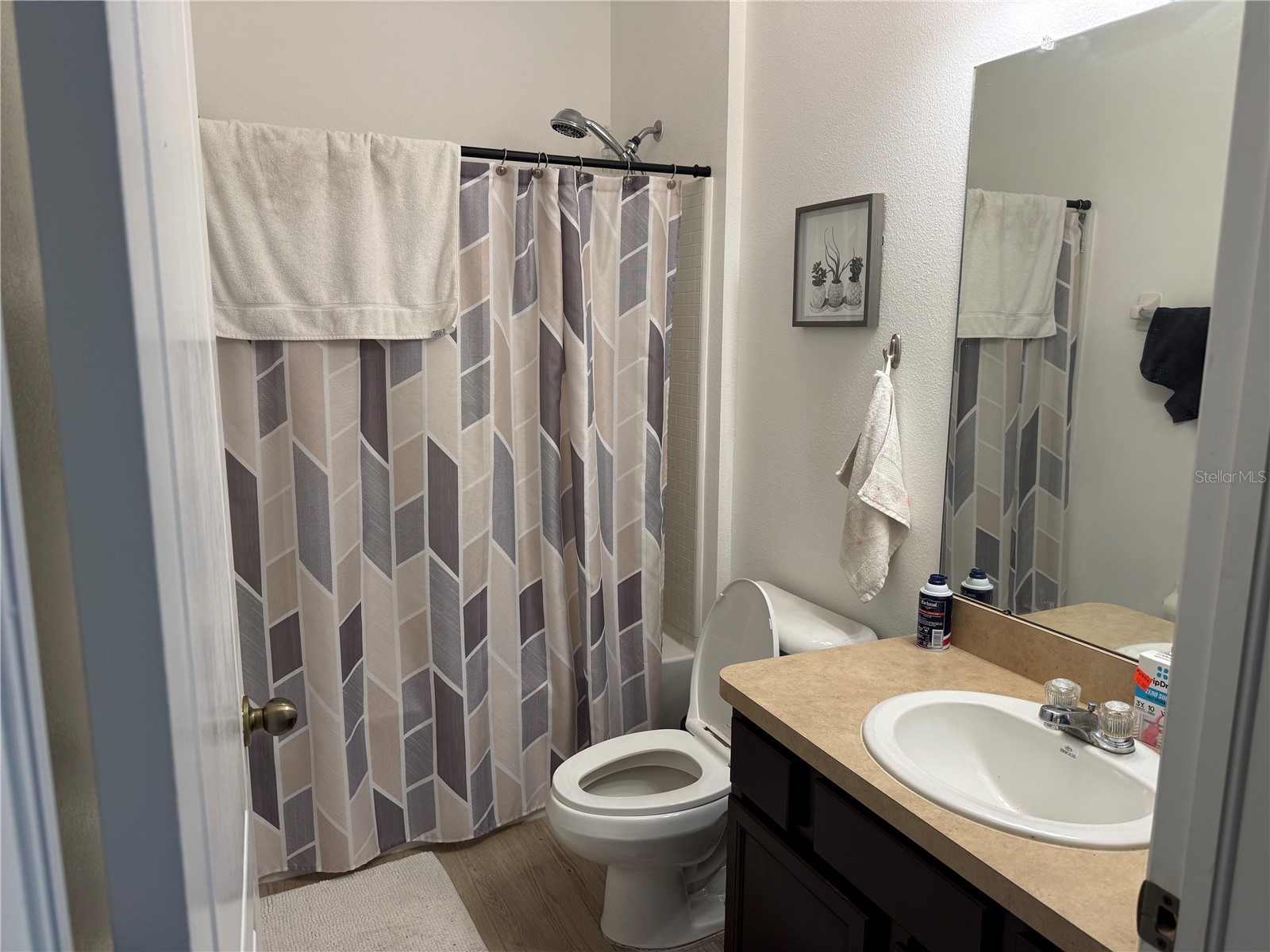 1751 Bonita Bluff Court Ruskin FL 33570 O6419327 image12