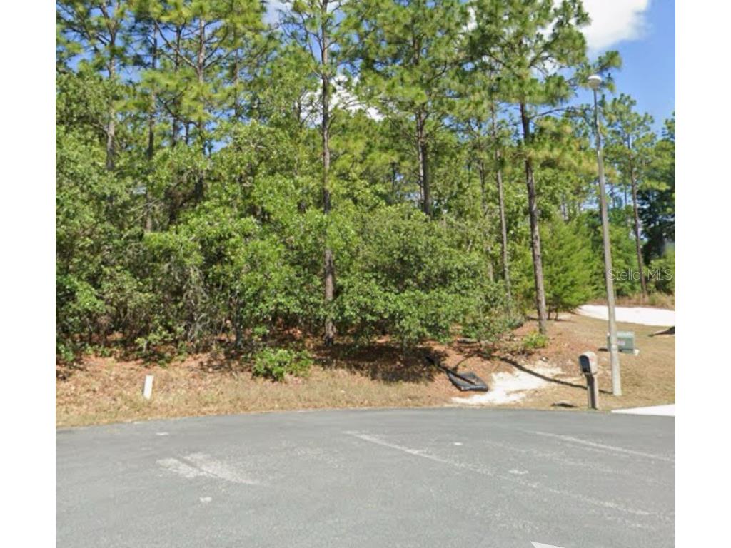 1751 E Littleton Court Inverness FL 34453 A4625713 image1