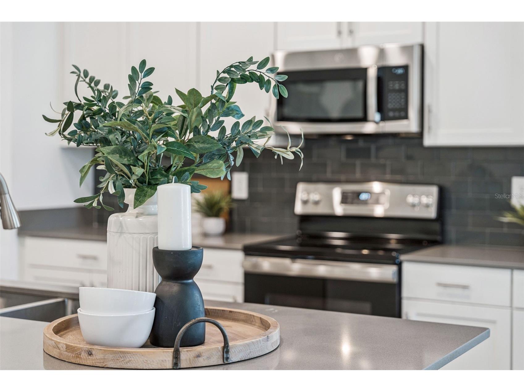 1751 Good Neighbor Loop Kissimmee FL 34744 O6372981 image27