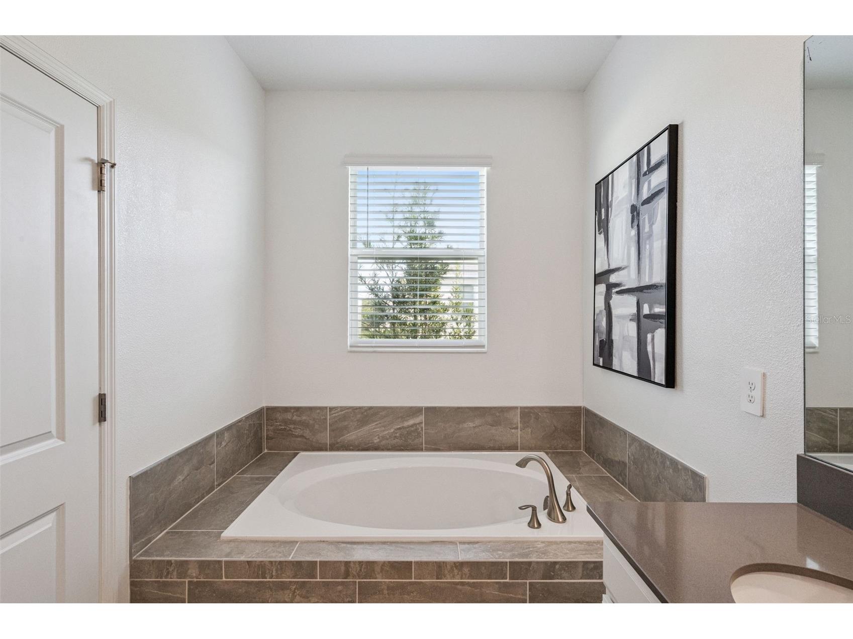 1751 Good Neighbor Loop Kissimmee FL 34744 O6372981 image40