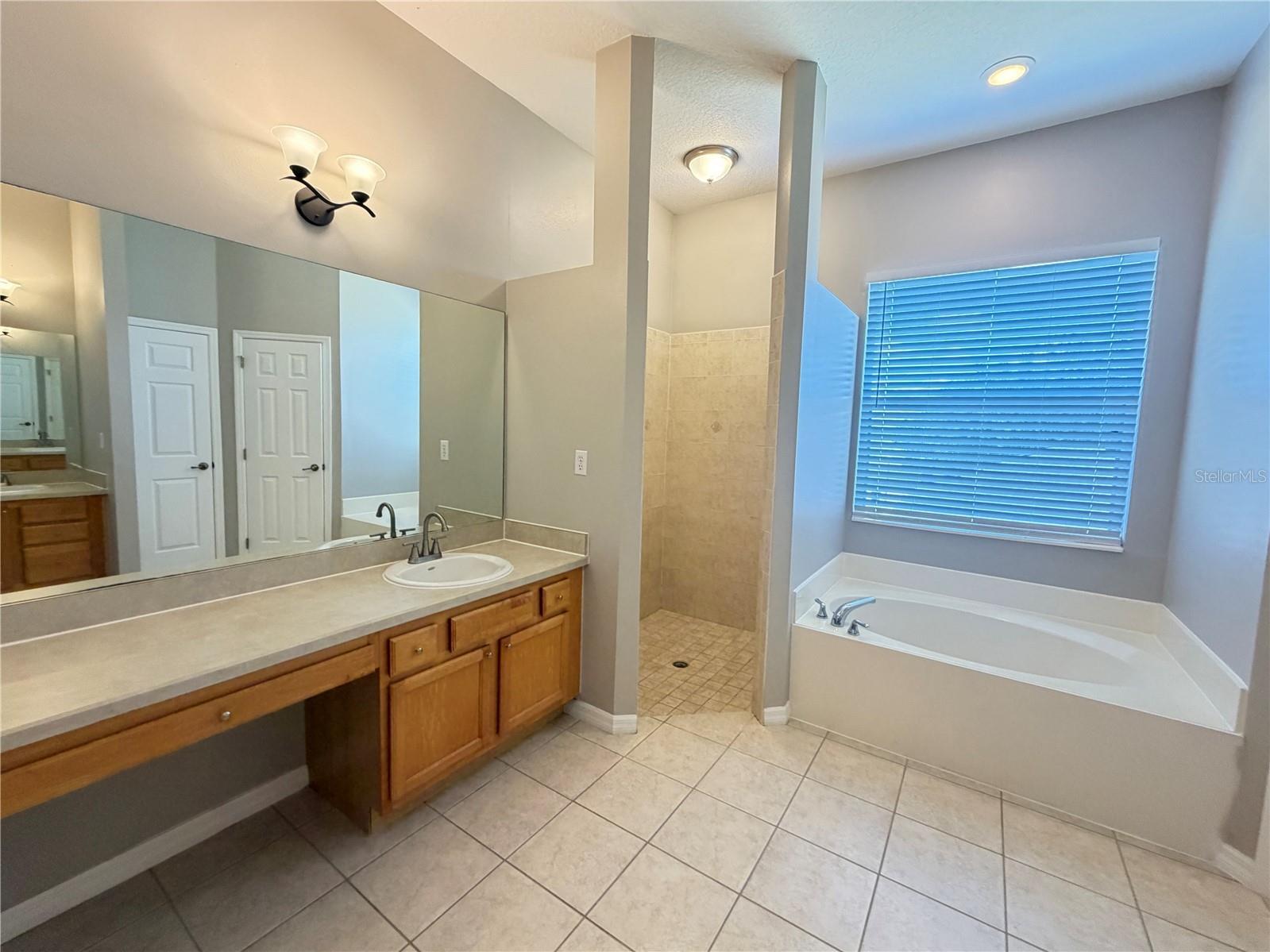 1751 Southern Oak Loop Minneola FL 34715 O6421970 image8