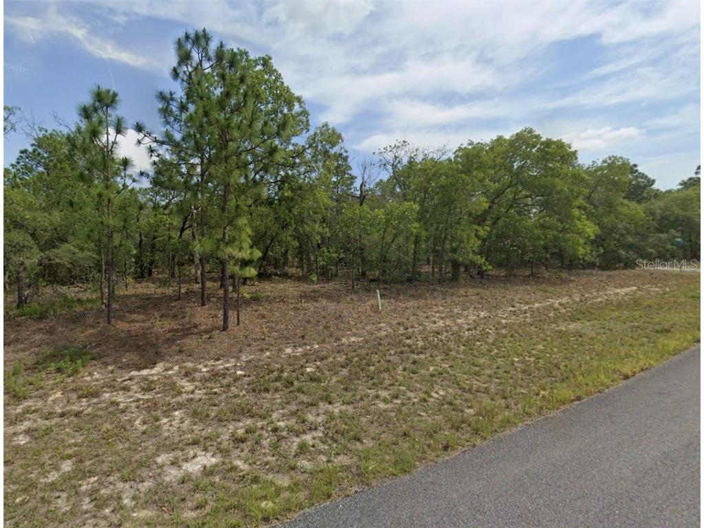 1751 W Stanton Drive Citrus Springs FL 34434 FC307482 image1